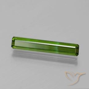Turmalina Verde bosque natural de 1.33 ct, Corte Octágono / Esmeralda, VVS-VS
