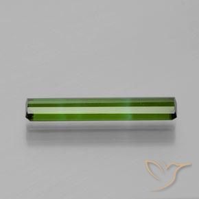 Turmalina Verde bosque natural de 1.33 ct, Corte Octágono / Esmeralda, VVS-VS