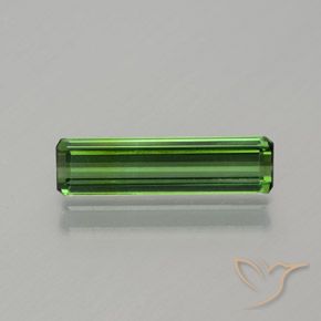 1.17ct Natural Verde bosque Turmalina, corte esmeralda, VS