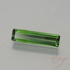 Turmalina Verde bosque natural de 1.17 ct, Corte Octágono / Esmeralda, VS