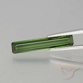 1.35ct Natural Verde bosque Turmalina, corte esmeralda, VVS-VS