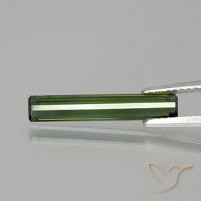 Turmalina Verde bosque natural de 1.35 ct, Corte Octágono / Esmeralda, VVS-VS
