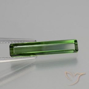 Turmalina Verde oscuro natural de 1.45 ct, Corte Octágono / Esmeralda, VVS-VS