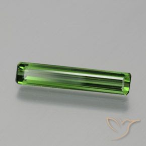 Turmalina Verde bosque natural de 1.35 ct, Corte Octágono / Esmeralda, VVS-VS