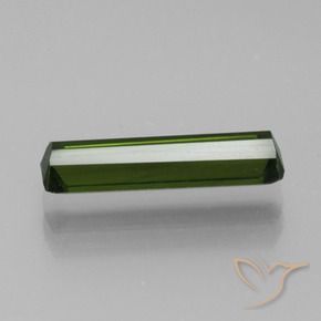 Turmalina Verde bosque natural de 1.19 ct, Corte Octágono / Esmeralda, VVS
