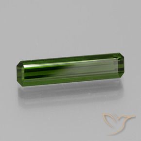 Turmalina Verde bosque natural de 1.90 ct, Corte Octágono / Esmeralda, VVS