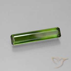 Turmalina Verde bosque natural de 1.35 ct, Corte Octágono / Esmeralda, VVS-VS