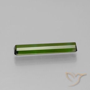 Turmalina Verde bosque natural de 1.35 ct, Corte Octágono / Esmeralda, VVS-VS