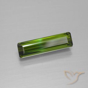 Turmalina Verde bosque natural de 1.33 ct, Corte Octágono / Esmeralda, VVS