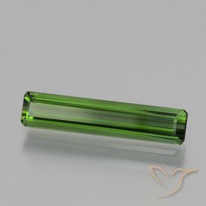 Turmalina Verde bosque natural de 1.21 ct, Corte Octágono / Esmeralda, VVS-VS