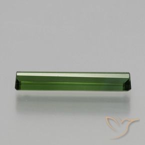 Turmalina Verde bosque natural de 1.21 ct, Corte Octágono / Esmeralda, VVS-VS