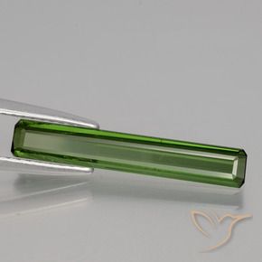 Turmalina Verde bosque natural de 1.47 ct, Corte Octágono / Esmeralda, VS