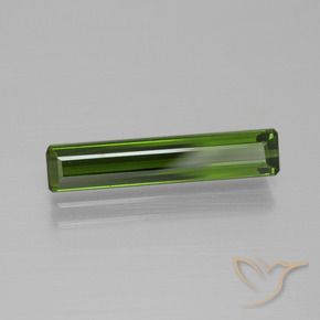 Turmalina Verde bosque natural de 1.88 ct, Corte Octágono / Esmeralda, VVS-VS