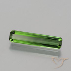 Turmalina Verde terroso natural de 1.04 ct, Corte Octágono / Esmeralda, VVS-VS