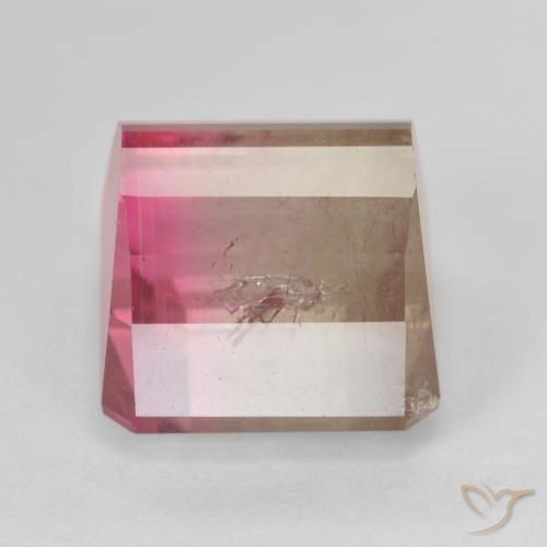 Turmalina Bicolor natural de 13.13 ct, Corte Octágono / Esmeralda, SI