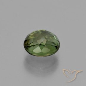 turmalina Verde oscuro natural de 1.26 ct, Ovalada, VVS-VS