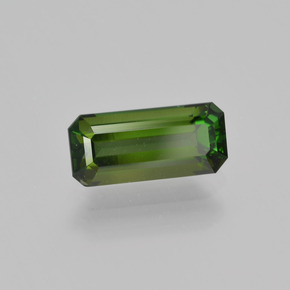 Turmalina Verde bosque natural de 1.34 ct, corte esmeralda, VVS