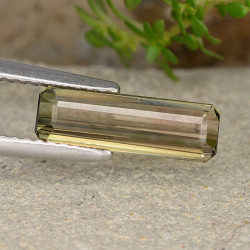 Turmalina bicolor natural de 1,72 ct, corte esmeralda, VS