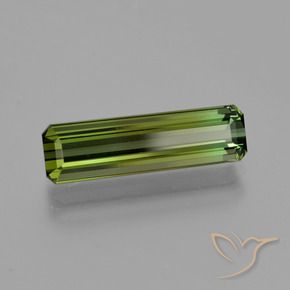 Turmalina Verde oscuro natural de 2.70 ct, Corte Octágono / Esmeralda, VVS-VS