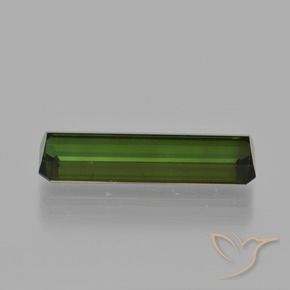 Turmalina Verde bosque natural de 2.77 ct, Corte Octágono / Esmeralda, VS
