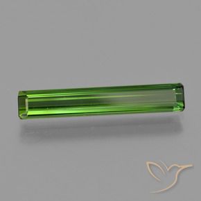 Turmalina Verde bosque natural de 1.52 ct, Corte Octágono / Esmeralda, VVS-VS