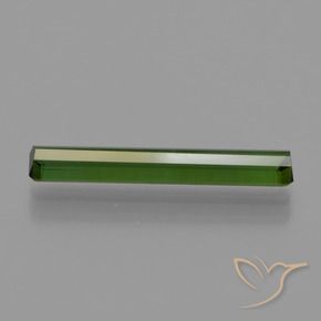 Turmalina Verde bosque natural de 1.52 ct, Corte Octágono / Esmeralda, VVS-VS