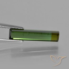 Turmalina Verde terroso natural de 1.52 ct, Corte Octágono / Esmeralda, VS-SI
