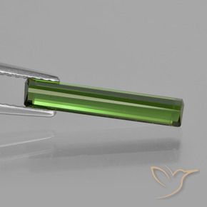 Turmalina Verde bosque natural de 1.53 ct, Corte Octágono / Esmeralda, VVS-VS