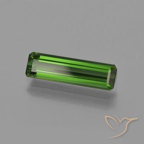 Turmalina Verde oscuro natural de 1.51 ct, Corte Octágono / Esmeralda, VVS-VS