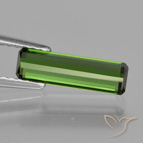 Turmalina Verde medio natural de 1.12 ct, Corte Octágono / Esmeralda, VVS-VS