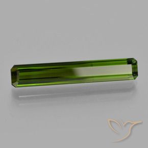 Turmalina Verde bosque intenso natural de 3.24 ct, Corte Octágono / Esmeralda, VS