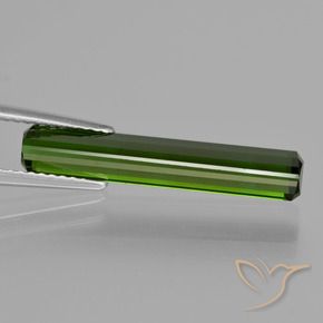 Turmalina Verde bosque intenso natural de 3.24 ct, Corte Octágono / Esmeralda, VS