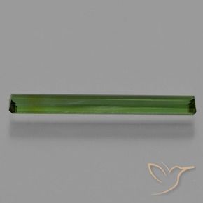 Turmalina Verde bosque intenso natural de 1.32 ct, Corte Octágono / Esmeralda, VVS-VS