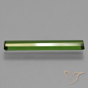 Turmalina Verde bosque natural de 1.45 ct, Corte Octágono / Esmeralda, VS