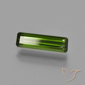 Turmalina Verde bosque natural de 1.10 ct, Corte Octágono / Esmeralda, VS