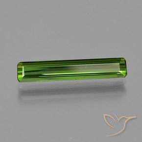 Turmalina Verde bosque natural de 1.19 ct, Corte Octágono / Esmeralda, VVS-VS