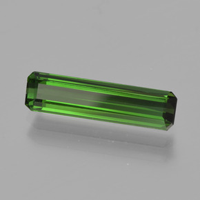 Turmalina Verde bosque natural de 1.61 ct, corte esmeralda, VS