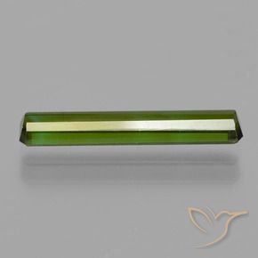 Turmalina Verde bosque natural de 1.23 ct, Corte Octágono / Esmeralda, VS
