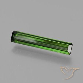Turmalina Verde bosque natural de 1.22 ct, Corte Octágono / Esmeralda, VS
