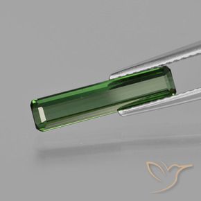 Turmalina Verde bosque natural de 1.24 ct, Corte Octágono / Esmeralda, VS