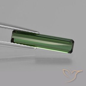 Turmalina Verde bosque natural de 1.24 ct, Corte Octágono / Esmeralda, VS