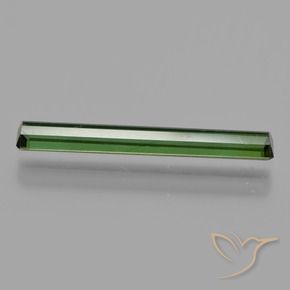 Turmalina Verde bosque natural de 1.27 ct, Corte Octágono / Esmeralda, VS
