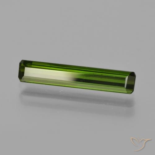 Turmalina Verde bosque natural de 1.37 ct, Corte Octágono / Esmeralda, VVS-VS