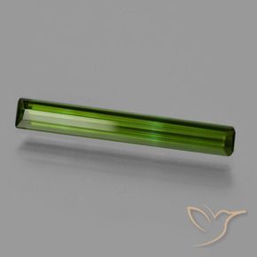 Turmalina Verde bosque natural de 0.96 ct, Corte Octágono / Esmeralda, VVS-VS