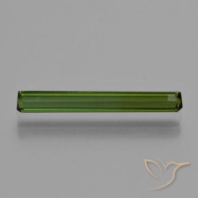 Turmalina Verde bosque natural de 1.27 ct, Corte Octágono / Esmeralda, VS