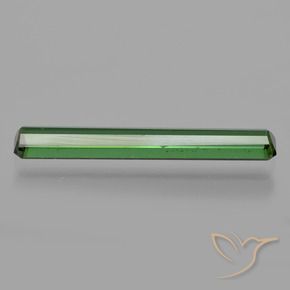 Turmalina Verde bosque natural de 1.22 ct, Corte Octágono / Esmeralda, VVS-VS