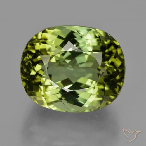Turmalina Verde bosque natural de 24.08 ct, Ovalada, VVS