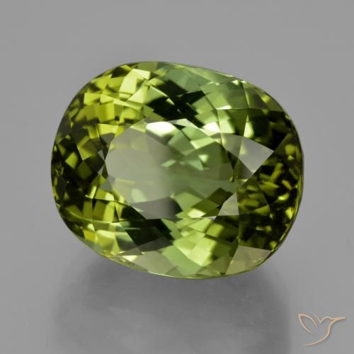 Turmalina Verde bosque natural de 24.08 ct, Ovalada, VVS