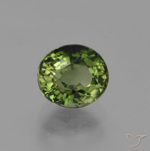 Turmalina Verde oscuro natural de 1.13 ct, Ovalada, VVS