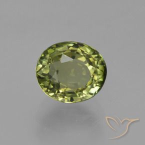 Turmalina Verde bosque natural de 1.14 ct, Ovalada, VVS